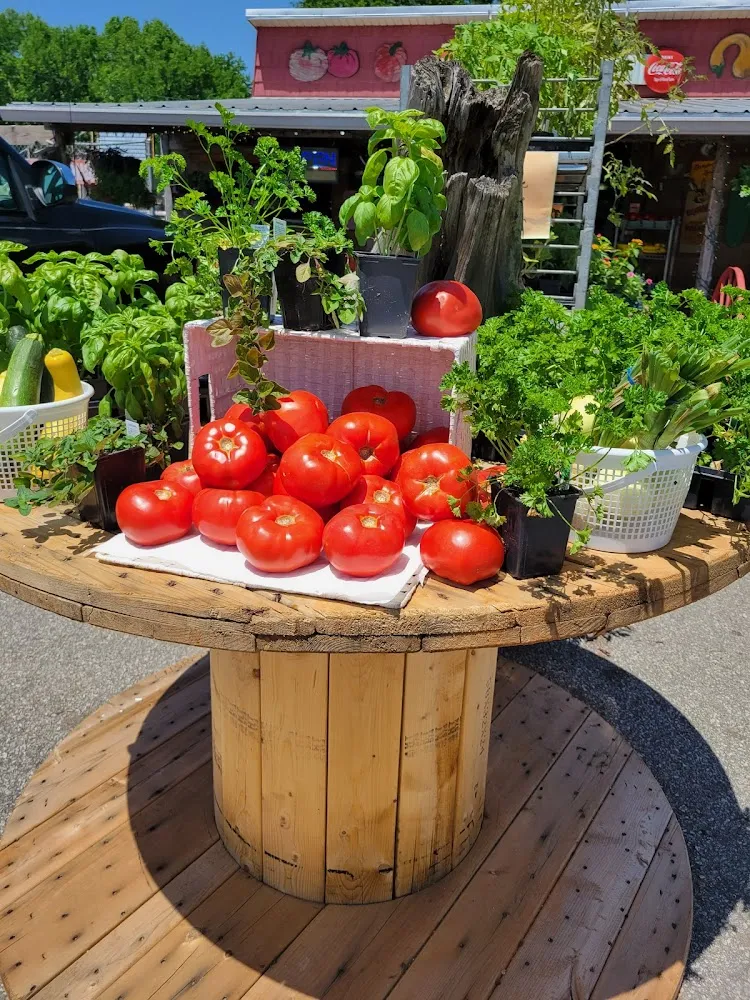 Fresh Local Tomatoes